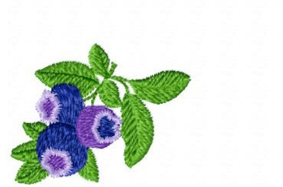 Blueberry Embroidery Design Review