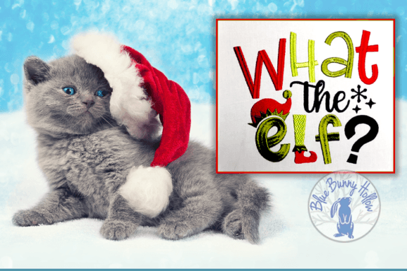 What the Elf